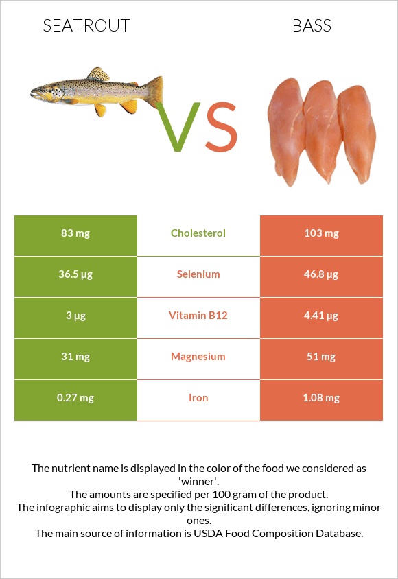 Seatrout vs Bass infographic