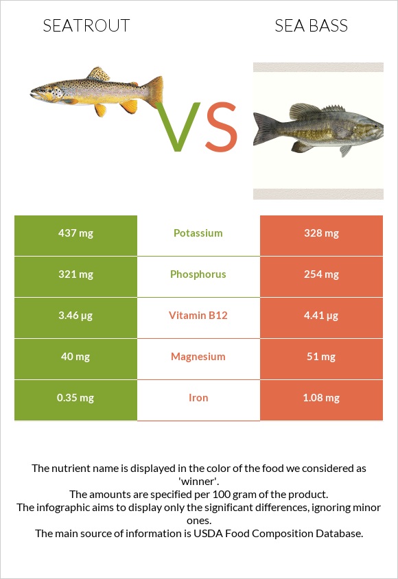 Seatrout vs Sea bass infographic