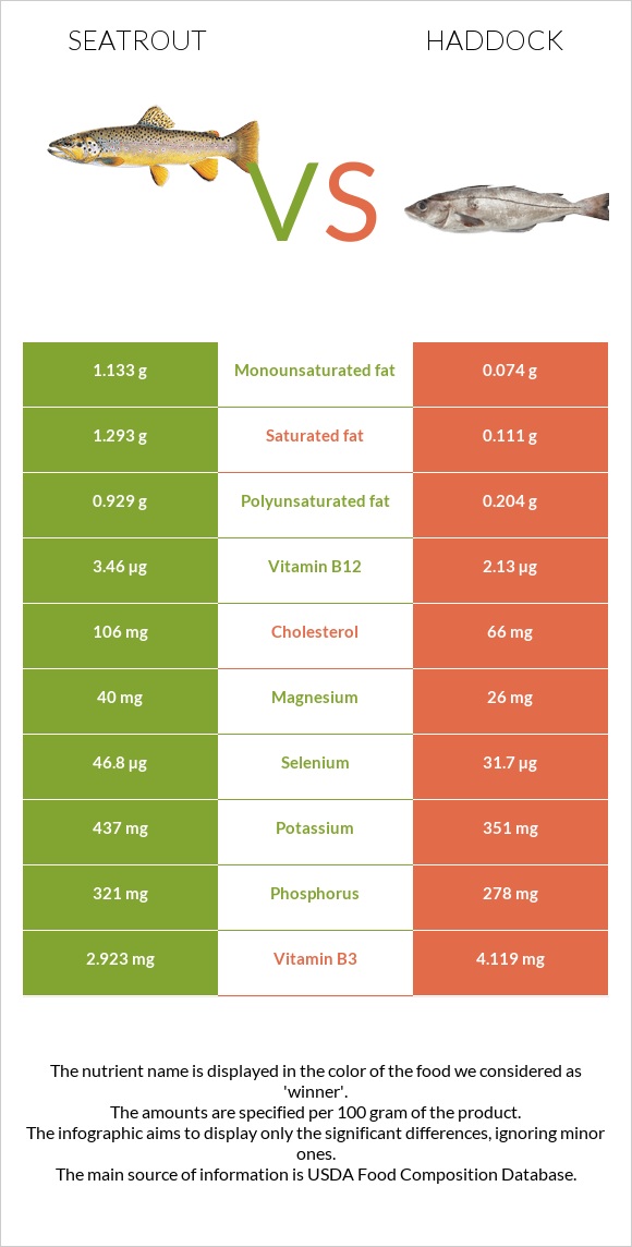 Seatrout vs Haddock infographic