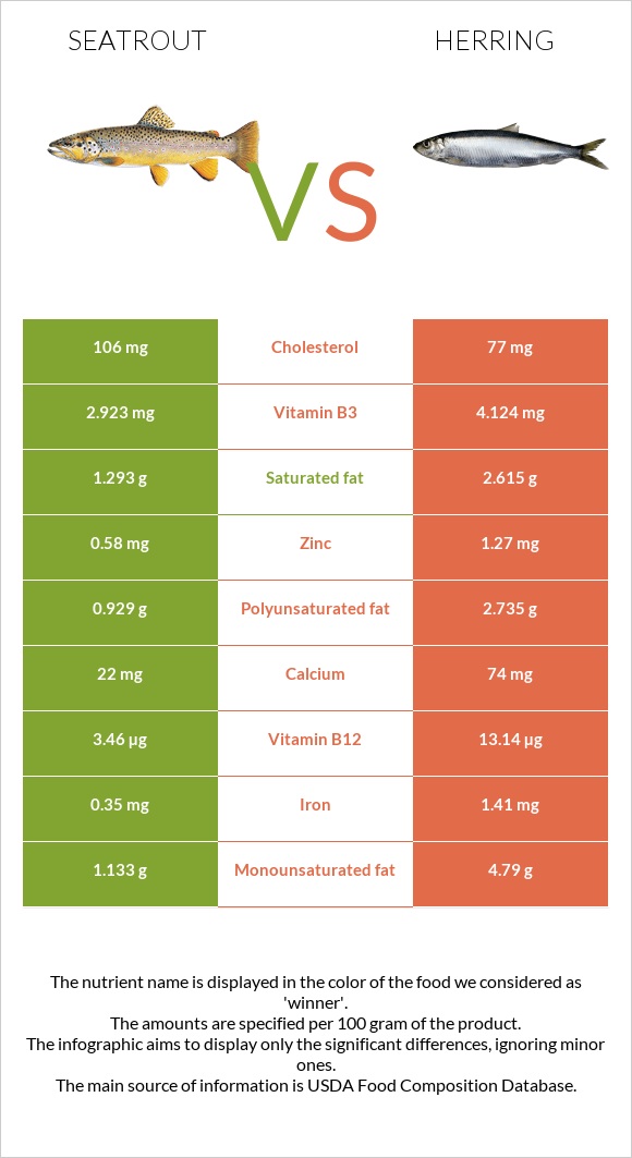 Seatrout vs Herring infographic