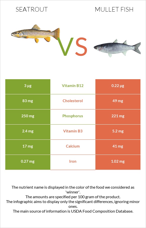 Seatrout vs Mullet fish infographic