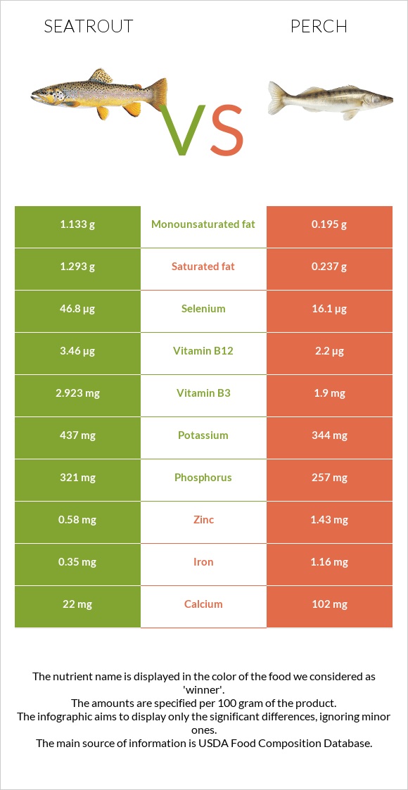 Seatrout vs Perch infographic