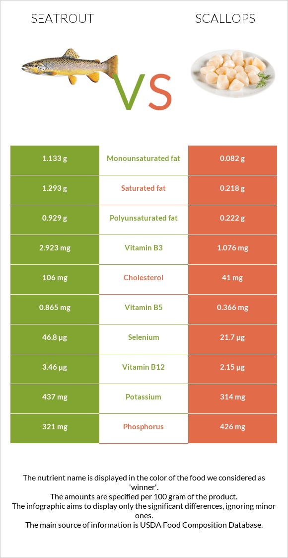 Seatrout vs Scallop infographic