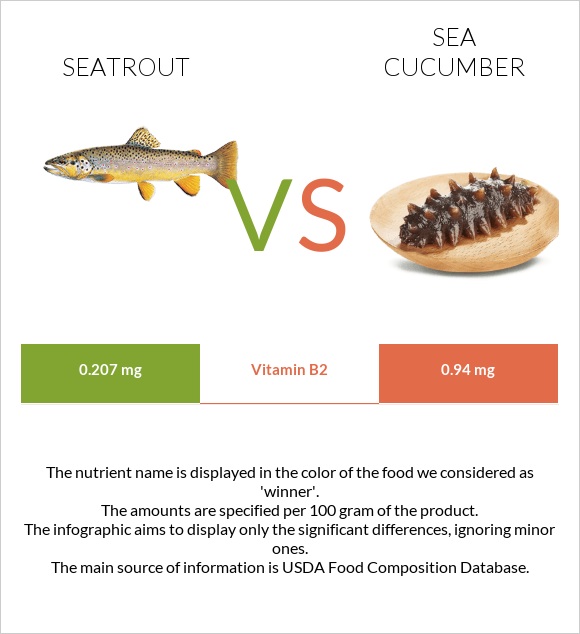 Seatrout vs Sea cucumber infographic