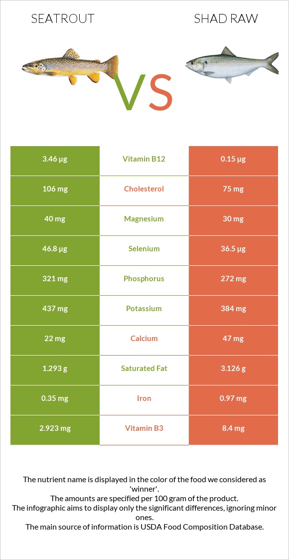 Seatrout vs Shad raw infographic