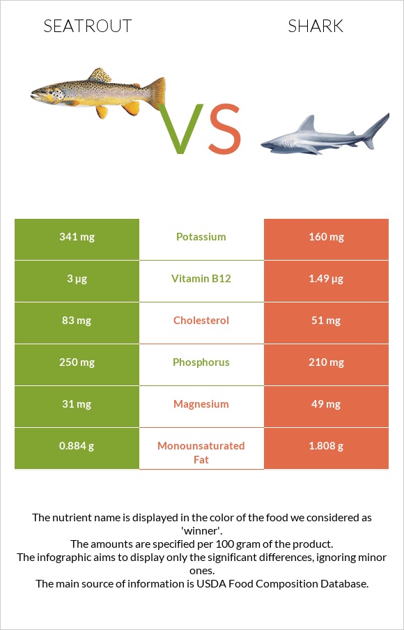 Seatrout vs Shark infographic