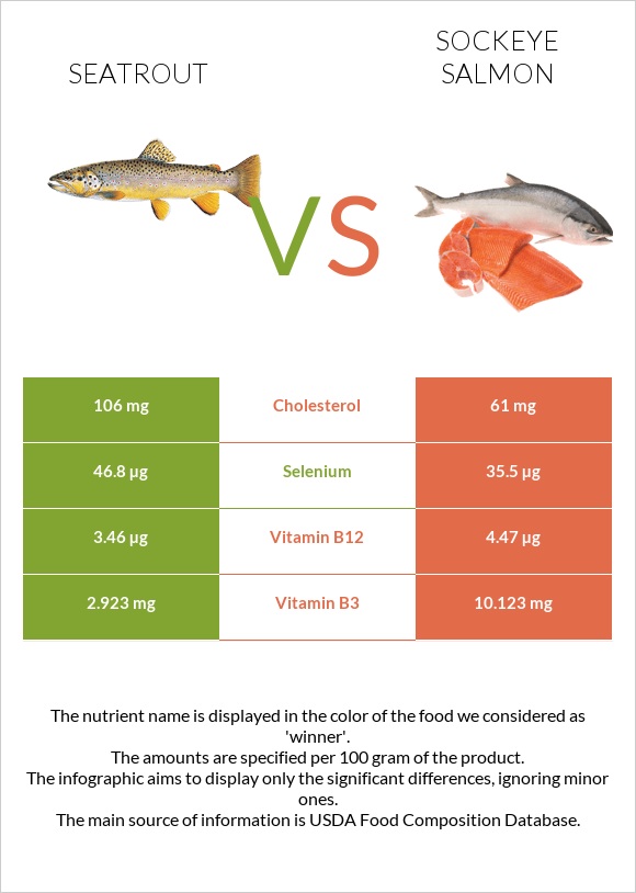 Seatrout vs Կարմիր սաղմոն infographic