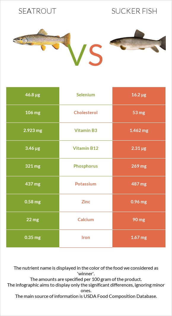 Seatrout vs Sucker fish infographic