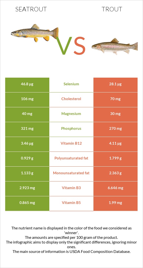 Seatrout vs Trout infographic