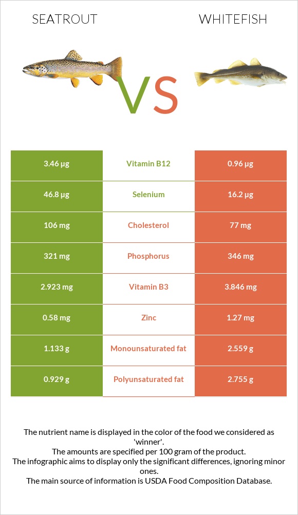 Seatrout vs Whitefish infographic