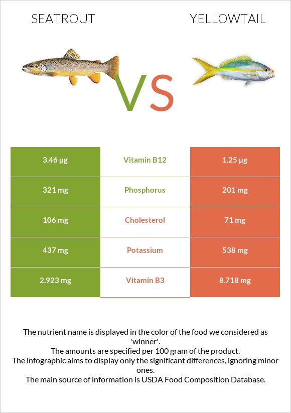 Seatrout vs Yellowtail infographic