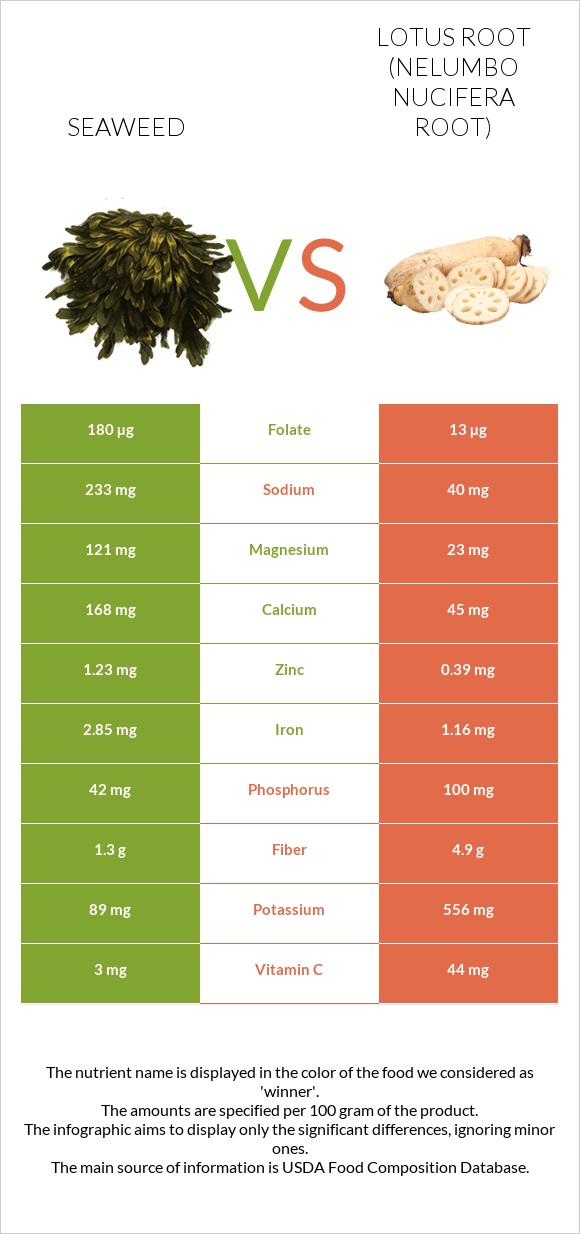 Seaweed vs Լոտոս արմատ infographic