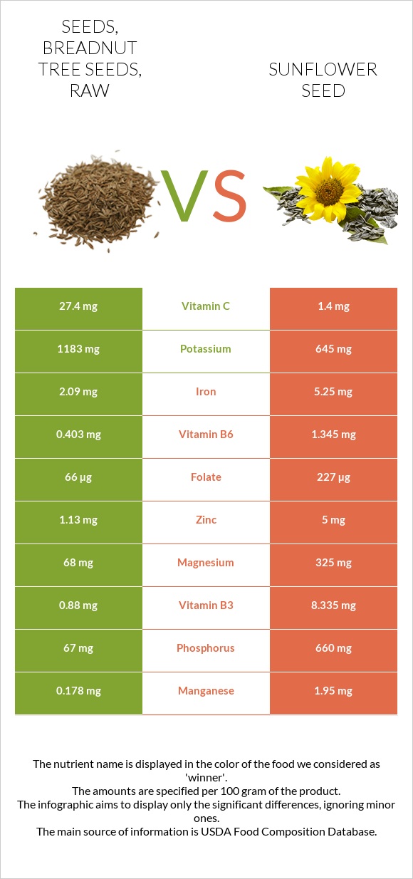 Seeds, breadnut tree seeds, raw vs Արևածաղիկի սերմեր infographic