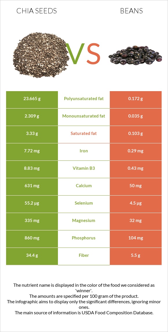 Seed vs Bean infographic