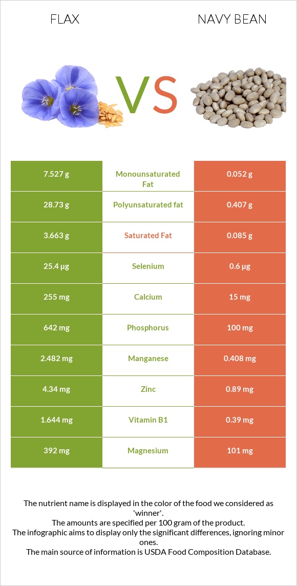 Flax vs Navy bean infographic