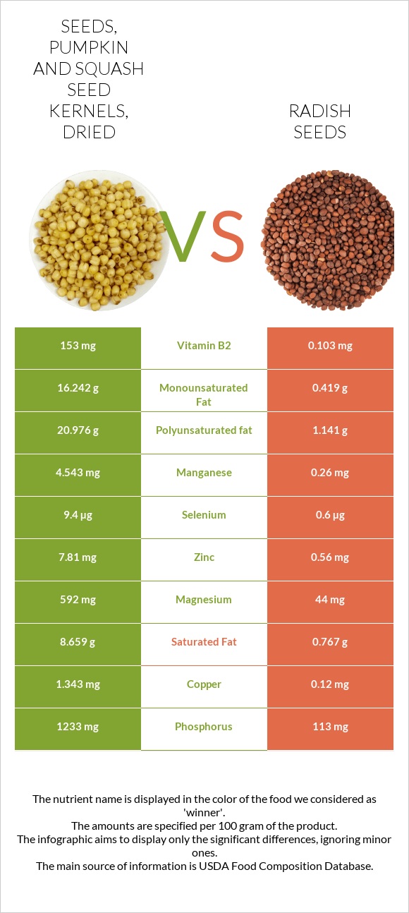 Seeds, pumpkin and squash seed kernels, dried vs Radish seeds infographic