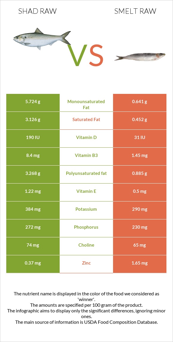 Shad raw vs Smelt raw infographic