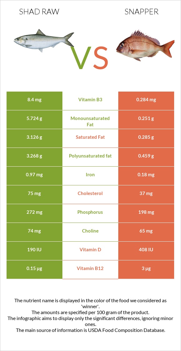 Shad raw vs Snapper infographic