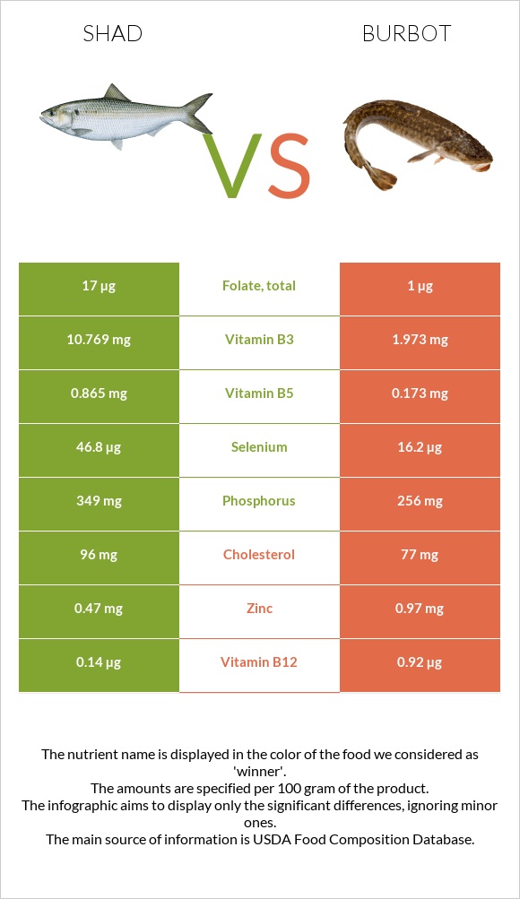 Shad vs Burbot infographic