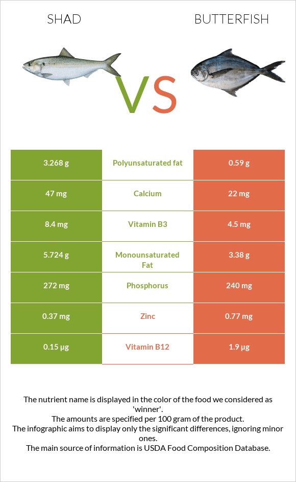 Shad vs Butterfish infographic