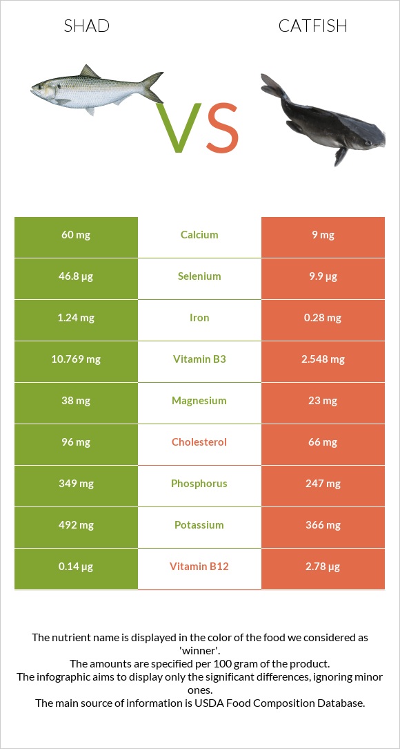 Shad vs Catfish infographic