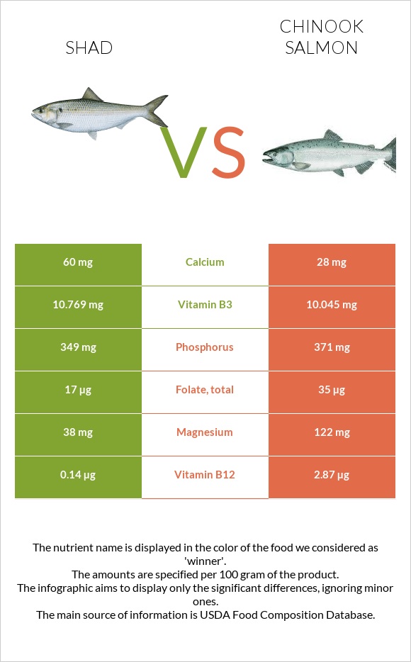 Shad vs Chinook salmon infographic