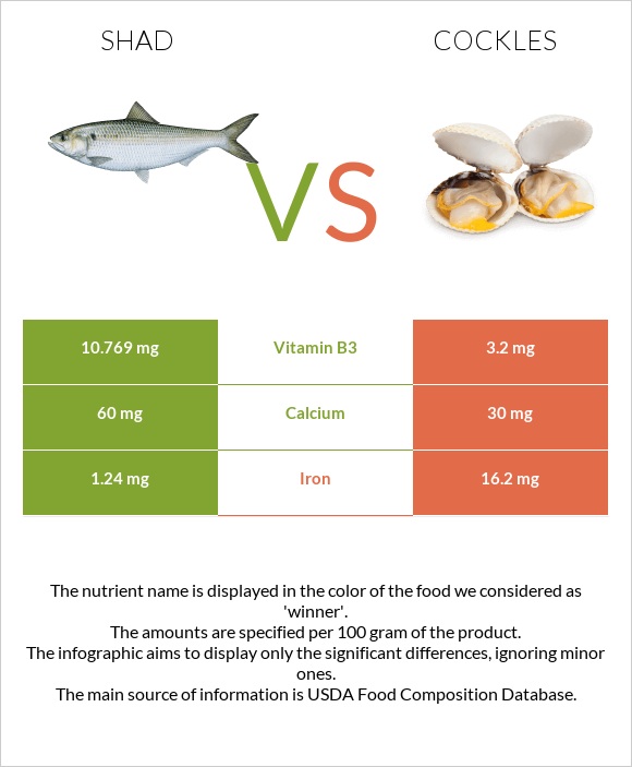 Shad vs Cockles infographic