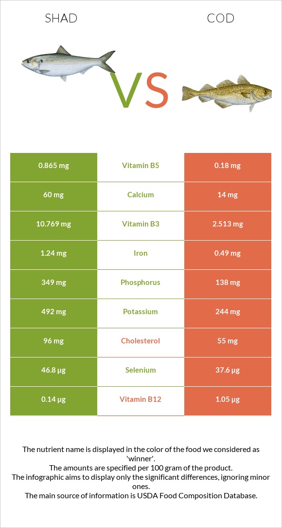 Shad vs Ձողաձուկ infographic