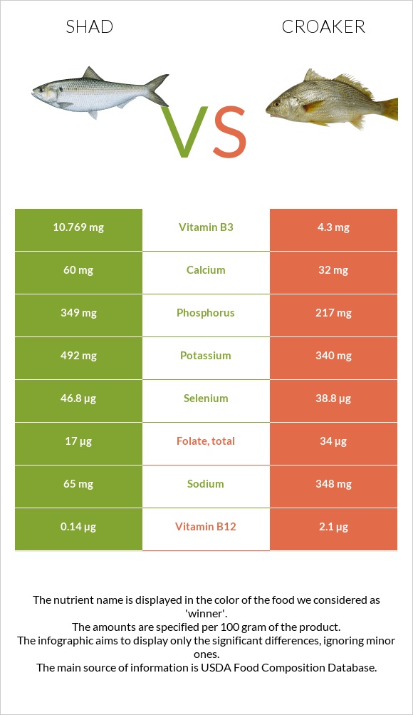 Shad vs Croaker infographic