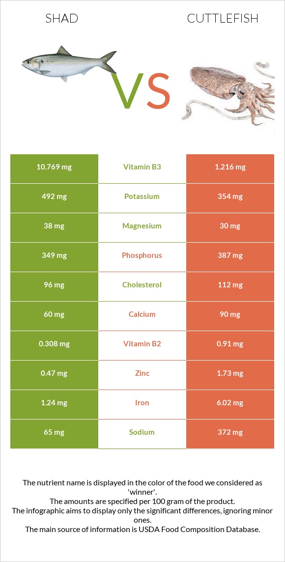 Shad vs Cuttlefish infographic