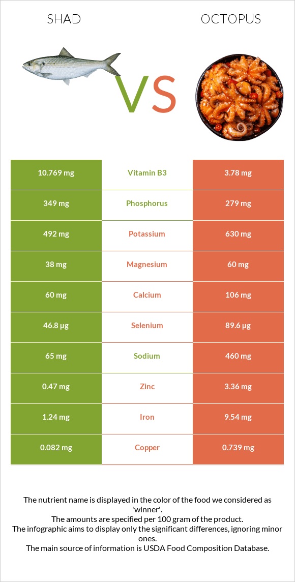 Shad vs Octopus infographic