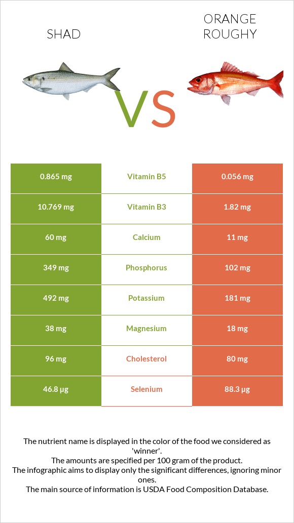 Shad vs Orange roughy infographic