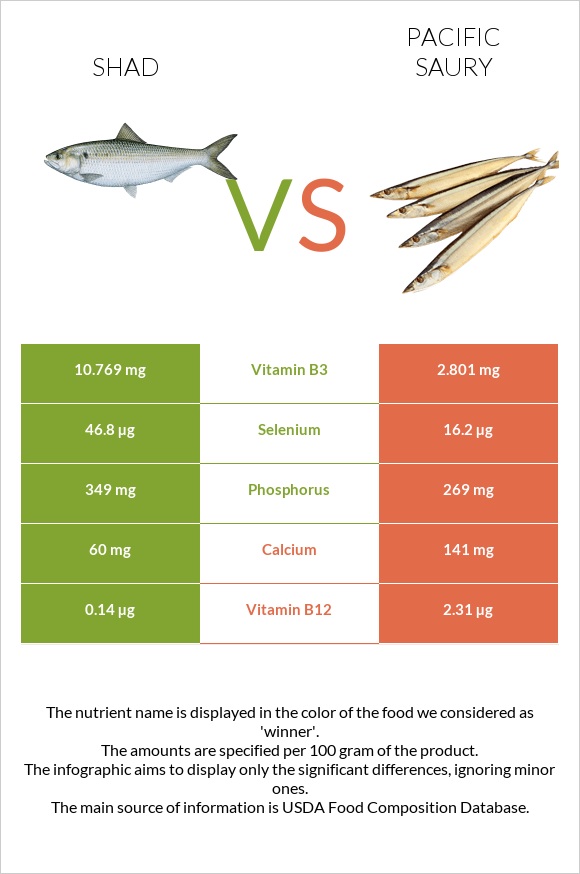 Shad vs Pacific saury infographic