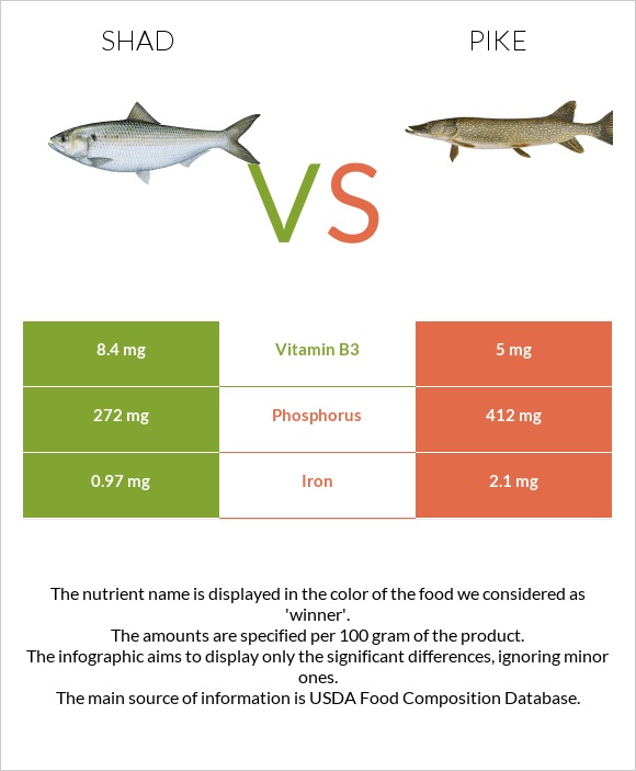 Shad vs Pike infographic