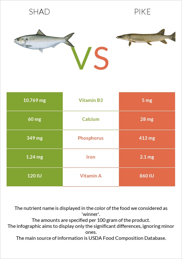 Shad vs Pike infographic