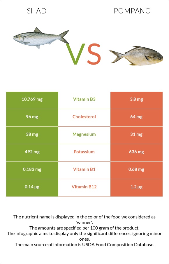 Shad vs Pompano infographic