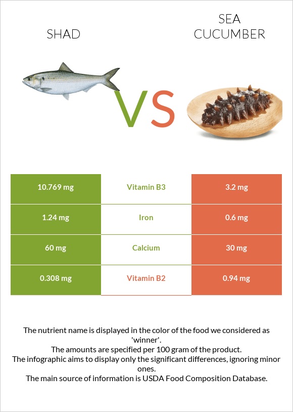 Shad vs Sea cucumber infographic