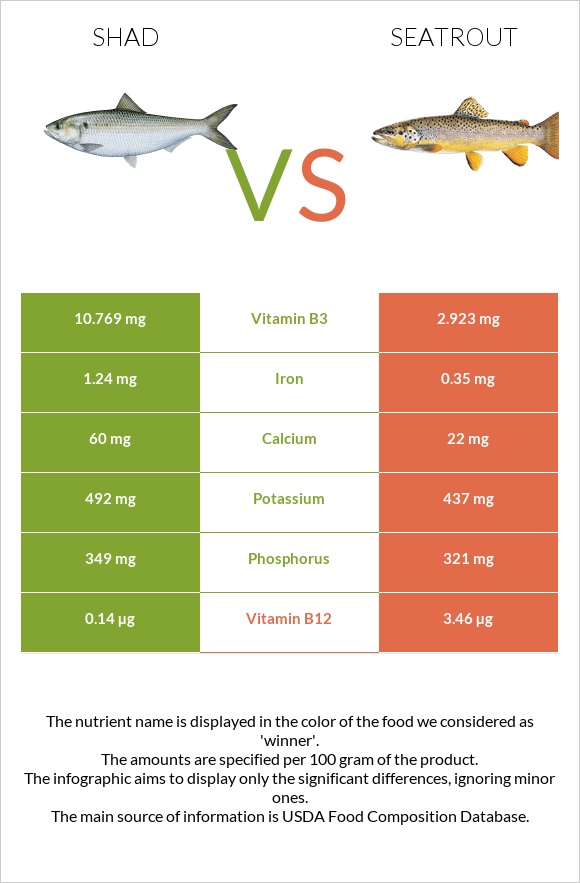 Shad vs Seatrout infographic