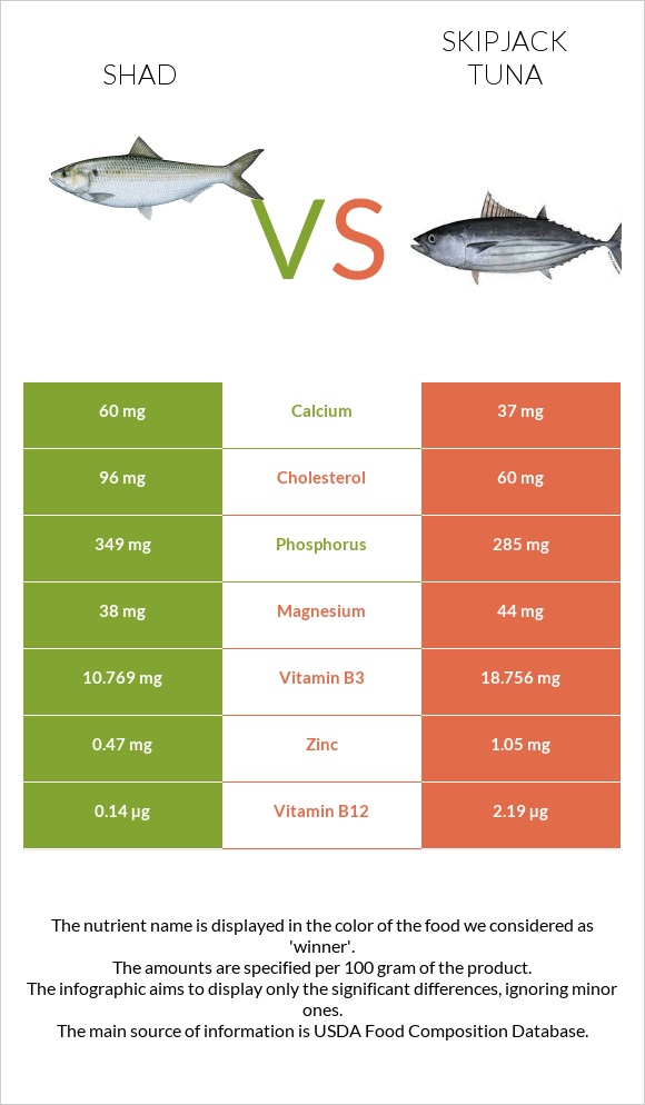 Shad vs Գծավոր թունա infographic