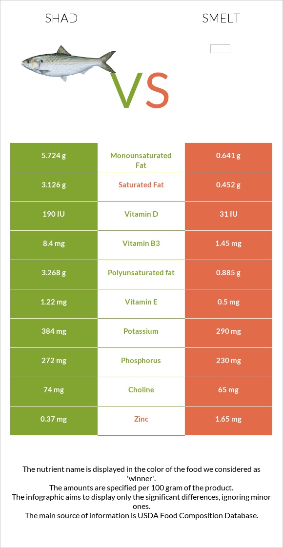 Shad vs Smelt infographic