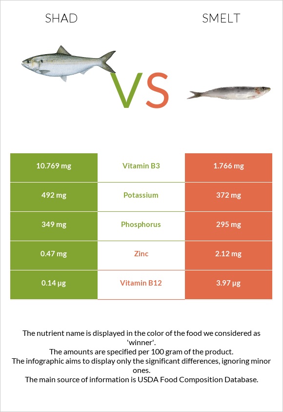 Shad vs Smelt infographic