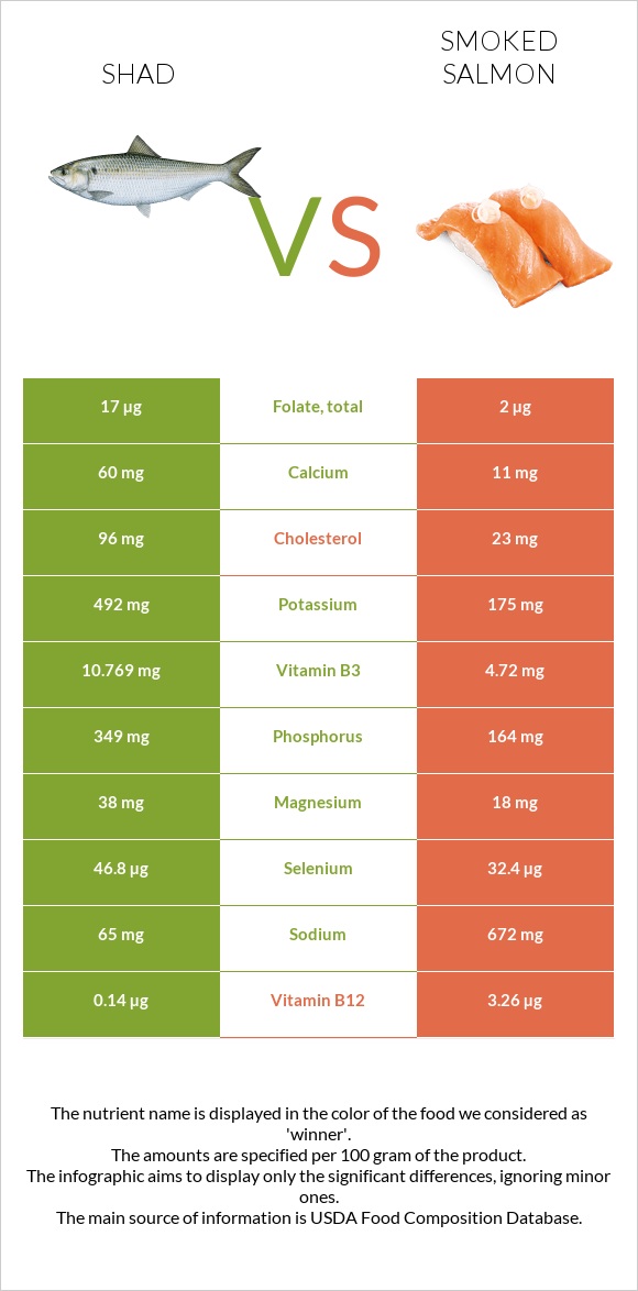 Shad vs Smoked salmon infographic