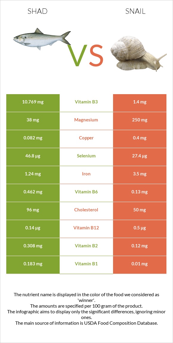 Shad vs Snail infographic