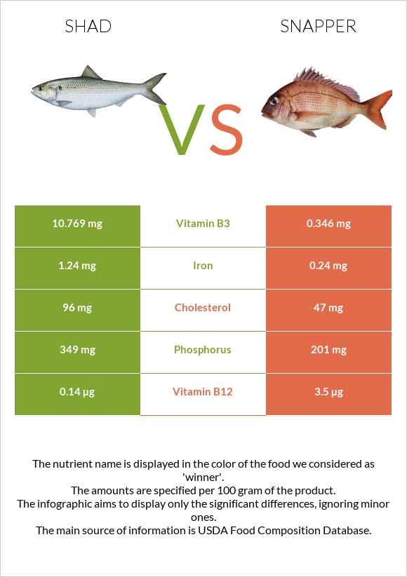 Shad vs Snapper infographic