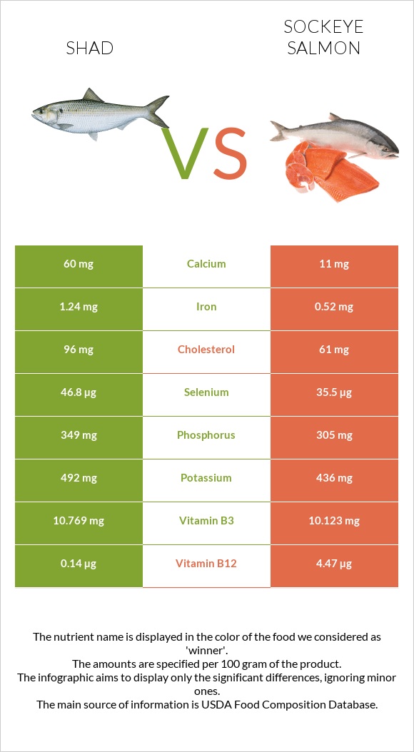 Shad vs Sockeye salmon infographic