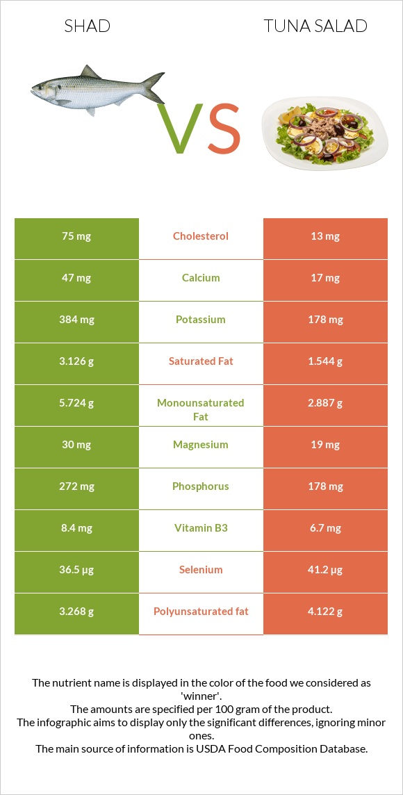 Shad vs Tuna salad infographic