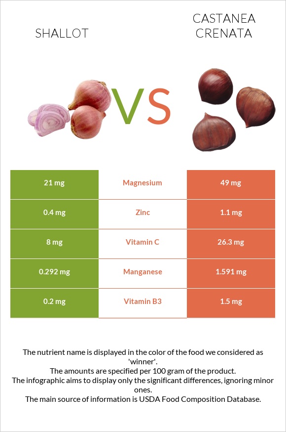 Shallot vs Castanea crenata infographic