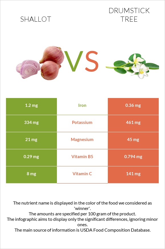 Shallot vs Drumstick tree infographic