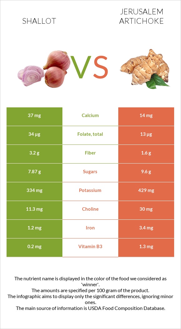 Shallot vs Jerusalem artichoke infographic