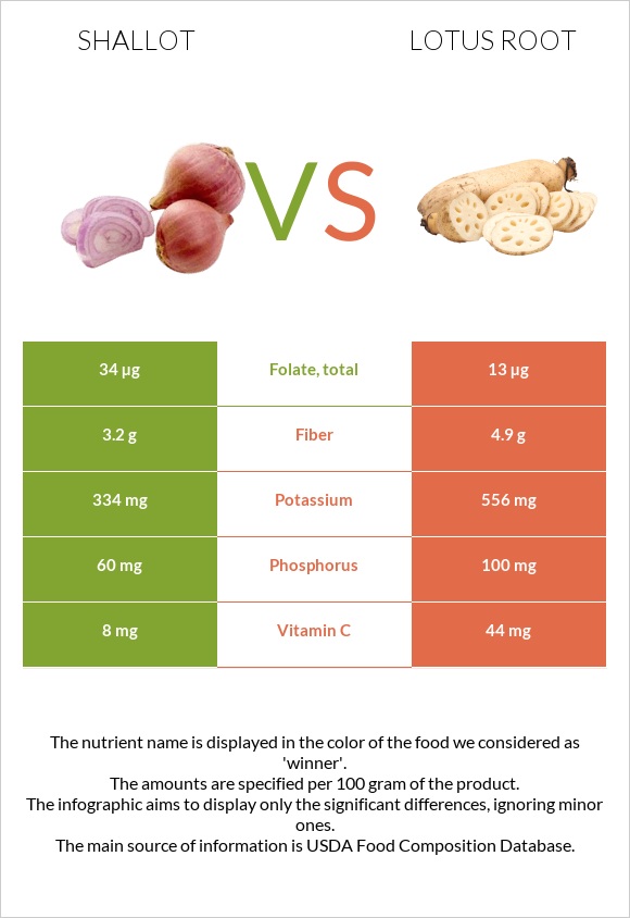 Սոխ-շալոտ vs Լոտոս արմատ infographic